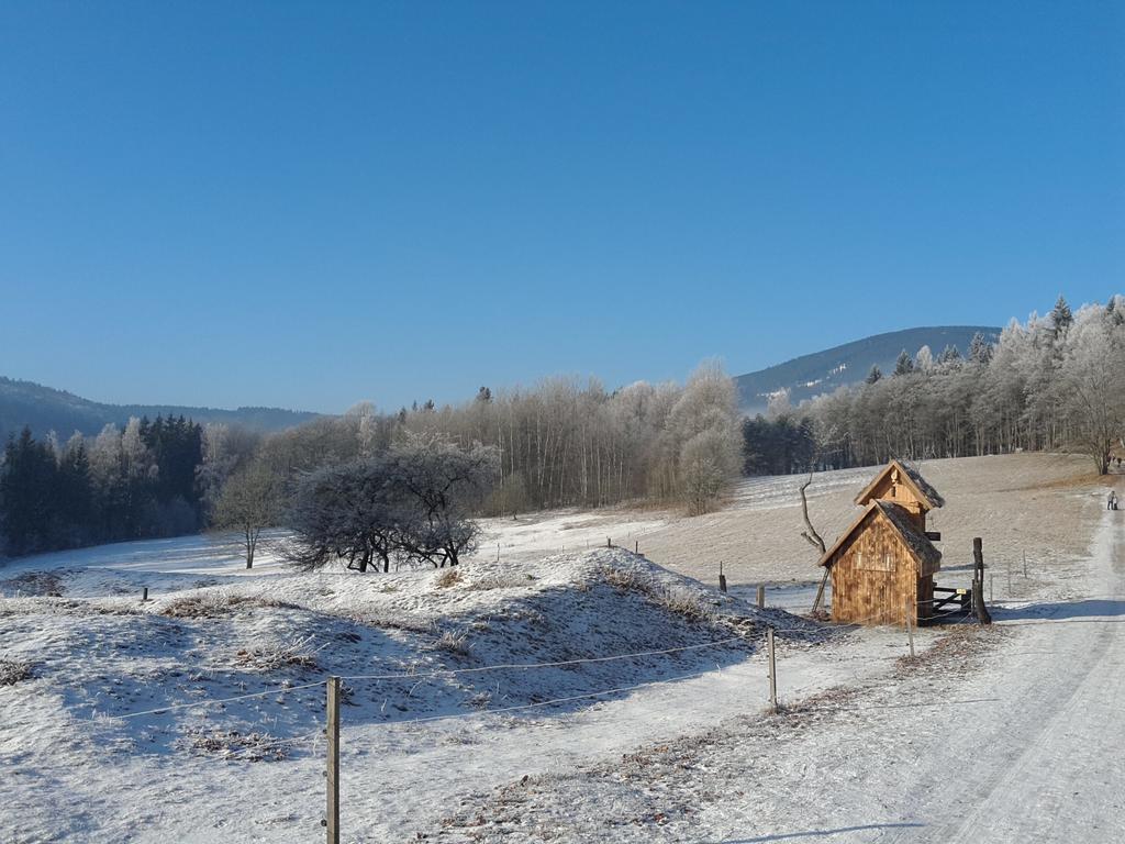 Ubytovani - Cerna Hora II Svoboda nad Úpou Exteriör bild
