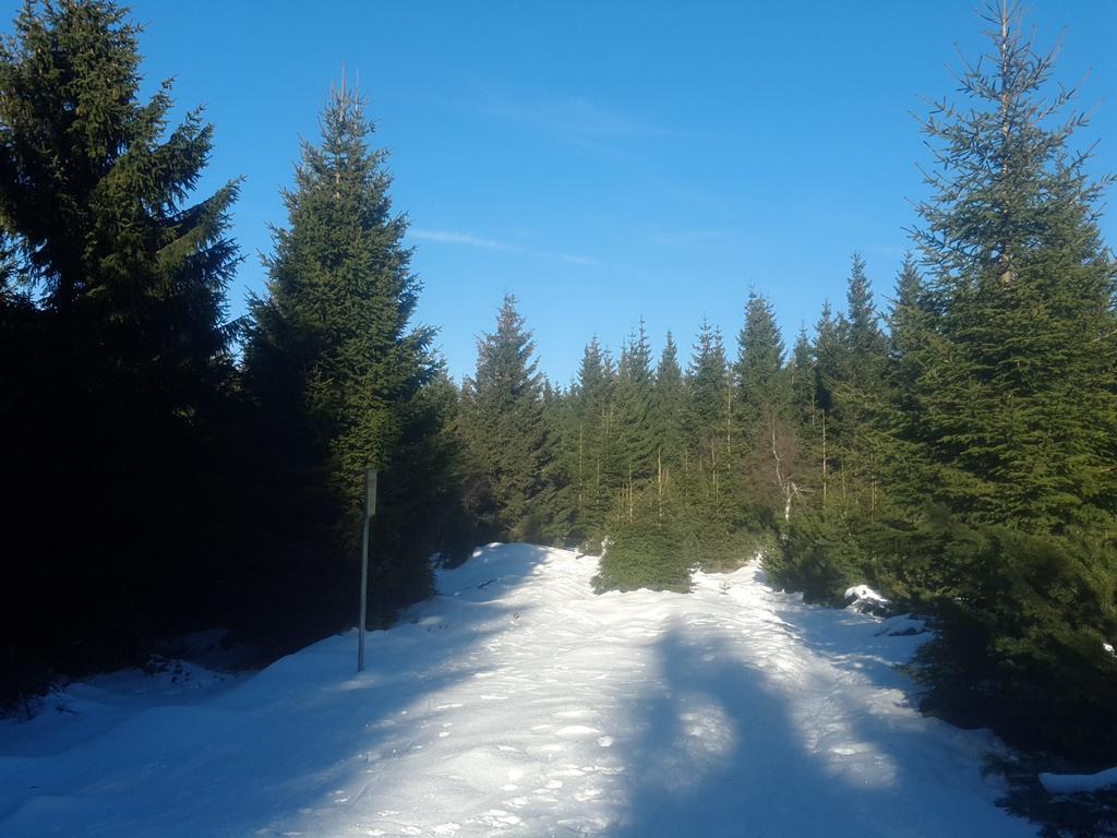 Ubytovani - Cerna Hora II Svoboda nad Úpou Exteriör bild